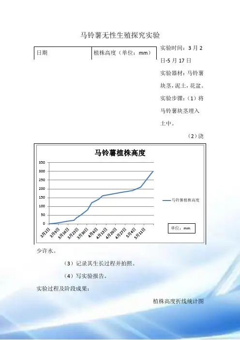 马铃薯无性生殖探究实验