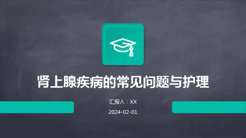 肾上腺疾病的常见问题与护理