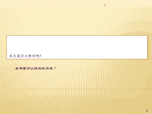 秋天的雨仿写作文课ppt课件