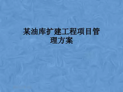 某油库扩建工程项目管理方案