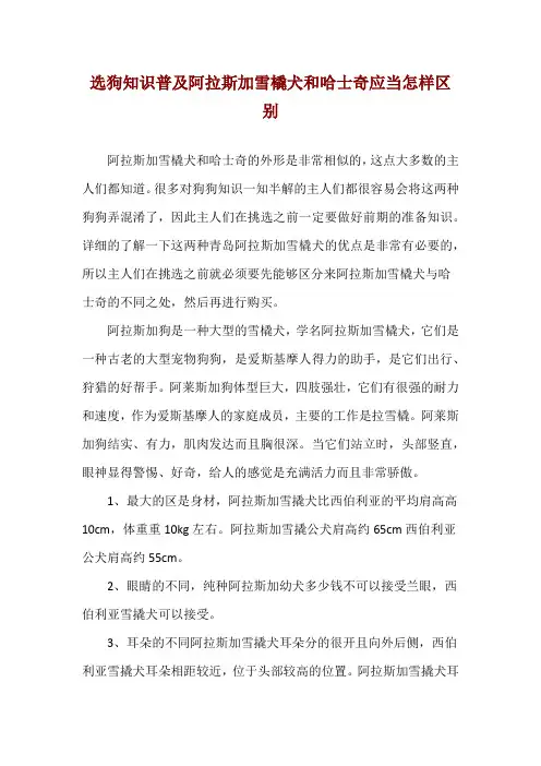 选狗知识普及 阿拉斯加雪橇犬和哈士奇应当怎样区别