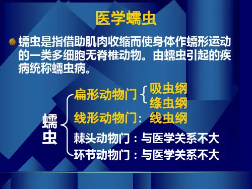 线虫概论蛔虫及鞭虫课件