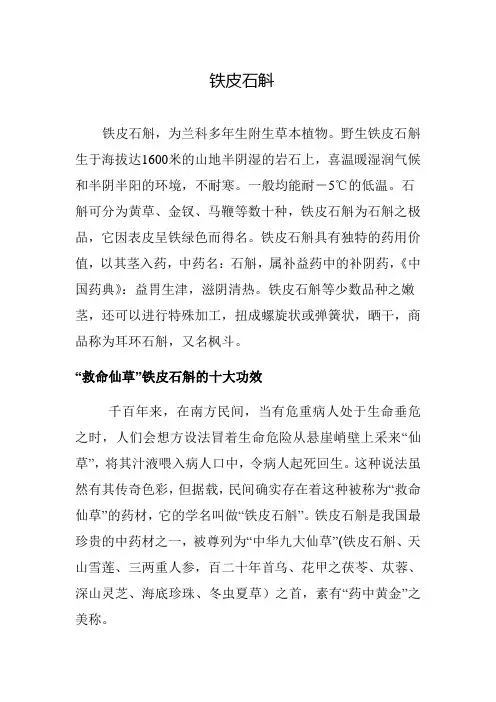 铁皮石斛简介