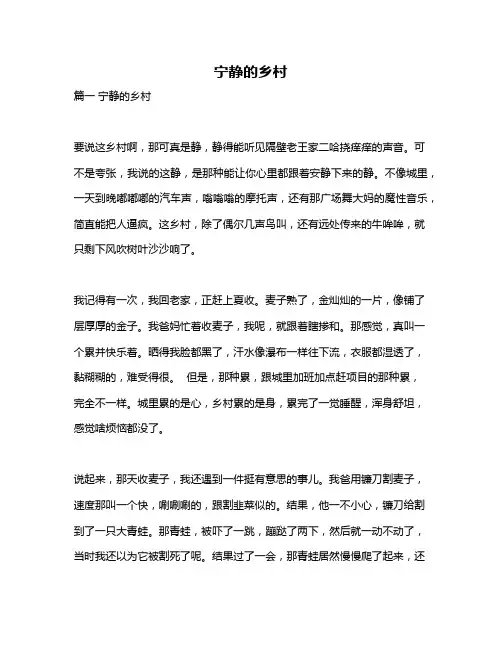 作文《宁静的乡村》