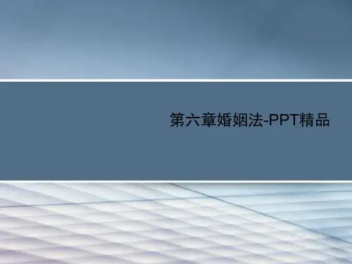 第六章婚姻法-PPT精品