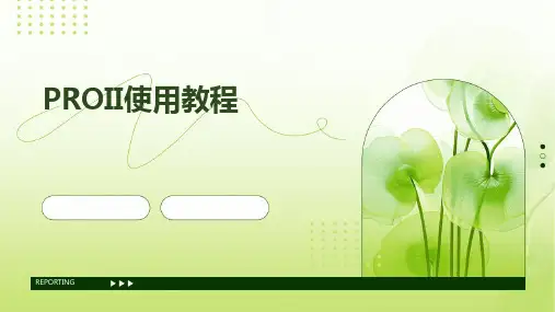 2024版PROII使用教程
