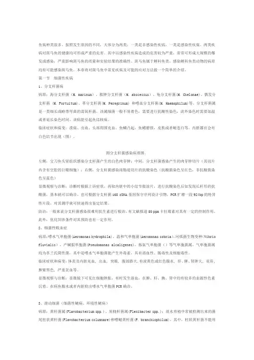 斑马鱼常见病