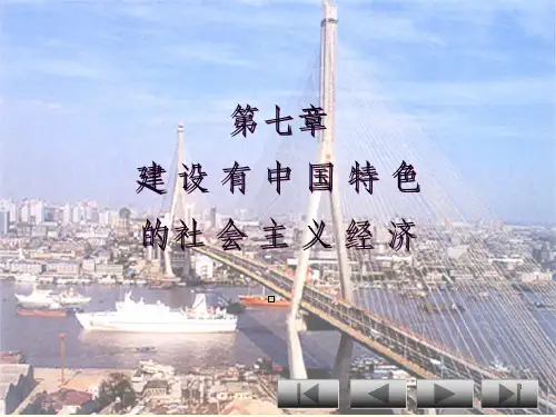 建设有中国特色的社会主义经济