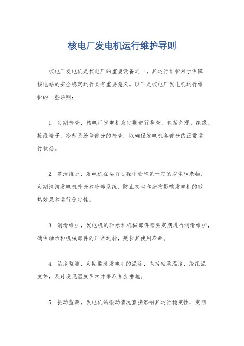 核电厂发电机运行维护导则