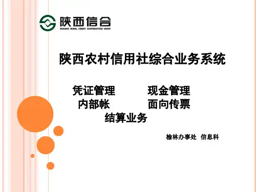 凭证、现金、内部账、面向传票