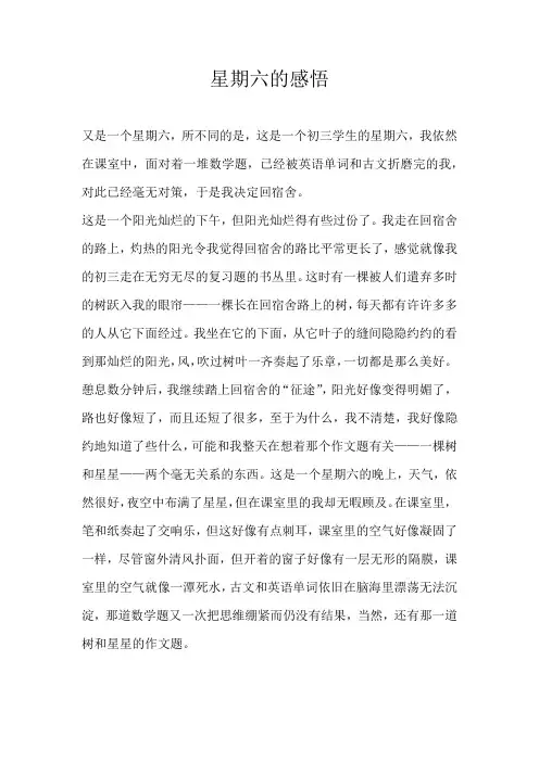 小学议论文星期六的感悟