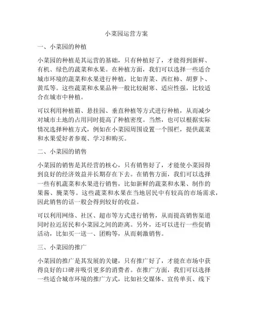 小菜园运营方案