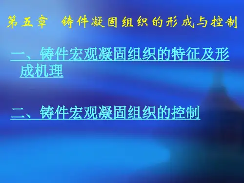 材料成形原理      华科   第五章_铸件凝固组织的形成及控制PPT课件