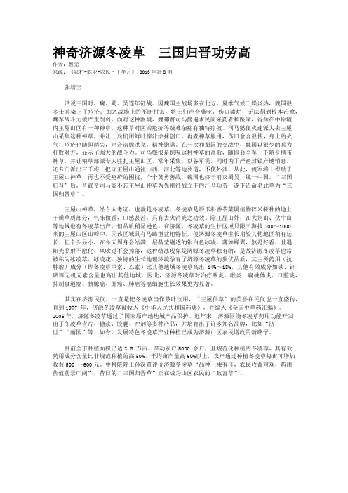 神奇济源冬凌草  三国归晋功劳高