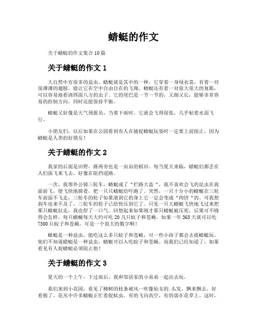 蜻蜓的作文