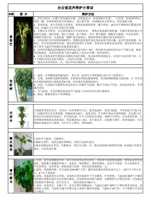 花卉养护表