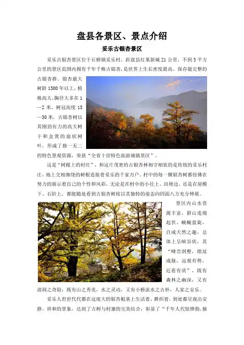 盘县景区景点简介