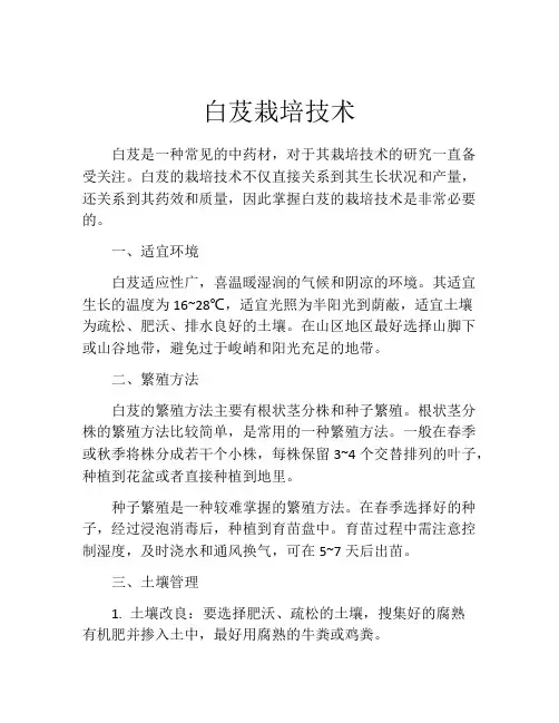 白芨栽培技术