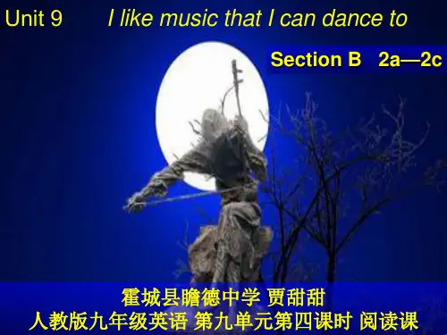 人教版初中初三九年级英语 名师教学课件 Sad-but-beautiful