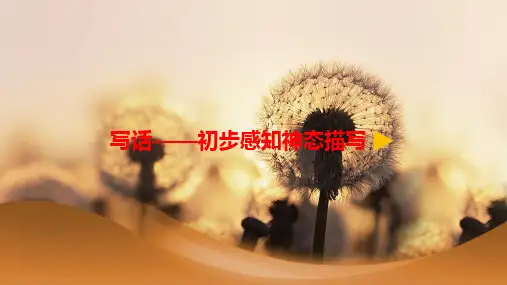 最新2017-2018学年度小学语文一年级下册12.失物招领写话——初步感知神态描写公开优质微课课件PPT