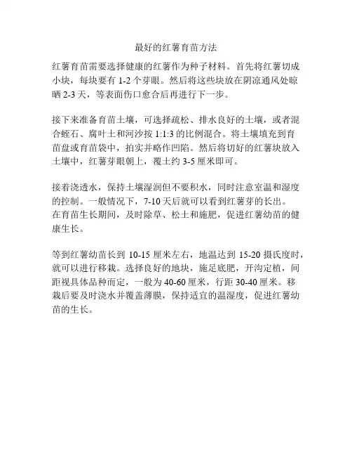 最好的红薯育苗方法