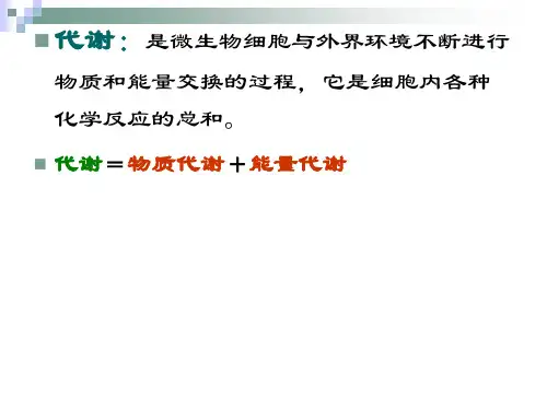 微生物的代谢ppt课件