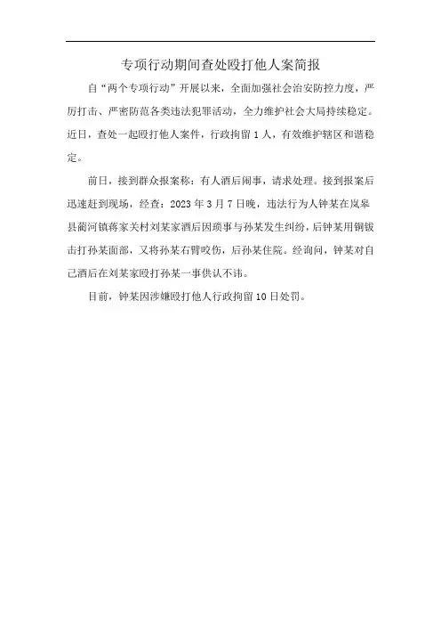 专项行动期间查处殴打他人案简报