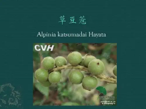 南药讲课