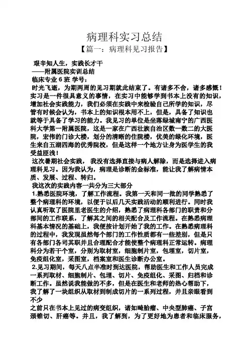 工作总结之病理科实习总结