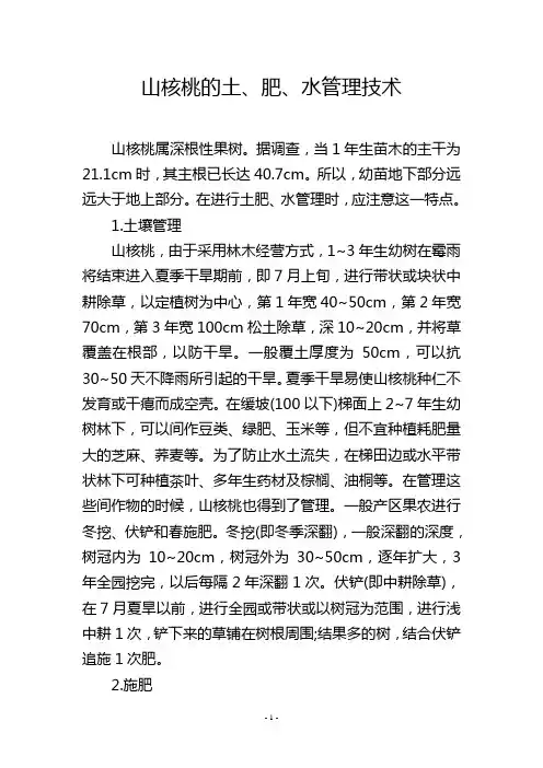 山核桃的土、肥、水管理技术