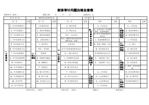 财务审计问题自检自查表