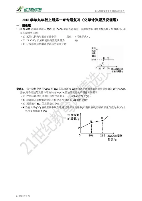 学年九年级上册第1章 物质及其变化 专题复习（化学计算题及说理题）