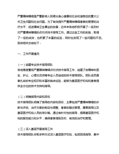严重精神障碍点对点技术指导总结