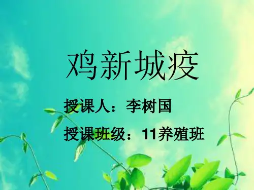 鸡新城疫课件
