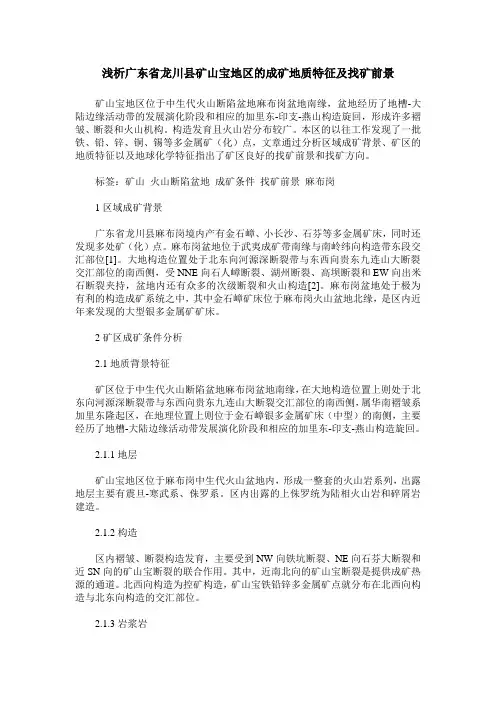 浅析广东省龙川县矿山宝地区的成矿地质特征及找矿前景