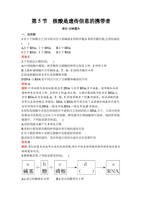 人教版高中生物必修1第2章第5节核酸是遗传信息的携带者练习含答案
