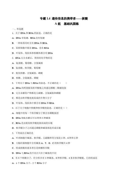 高中生物高考 遗传信息的携带者——核酸(必刷试题)-2021年高考生物大一轮复习紧跟教材(原卷版)