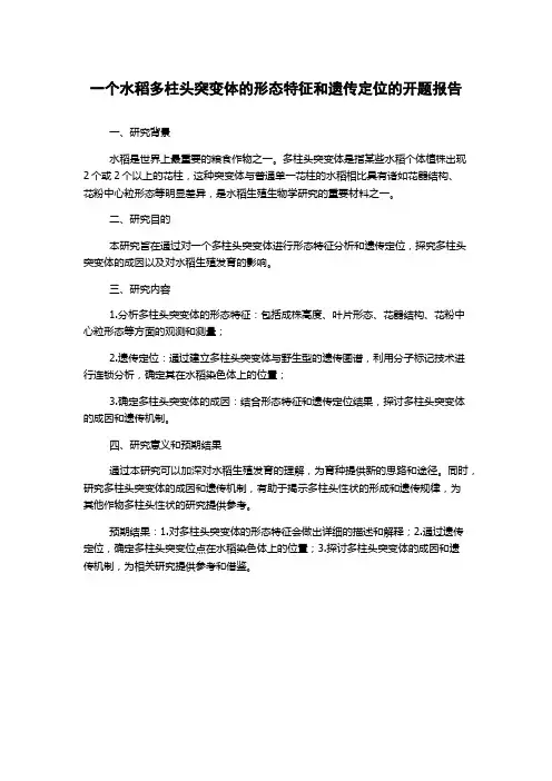 一个水稻多柱头突变体的形态特征和遗传定位的开题报告