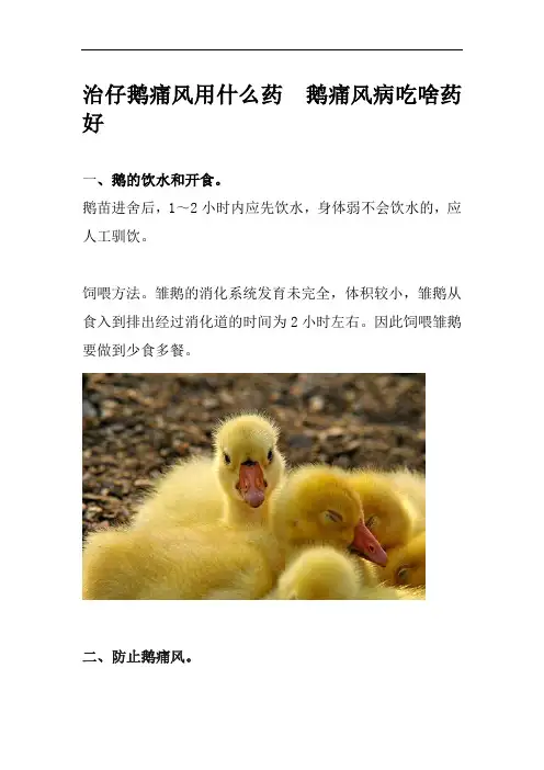 治仔鹅痛风用什么药  鹅痛风病吃啥药好