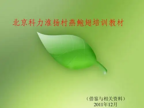 燕鲍翅干货知识