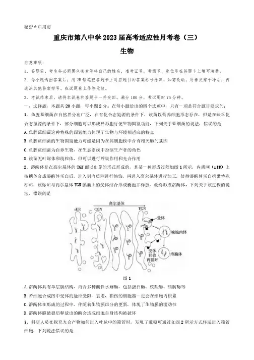 重庆市第八中学2022-2023学年高三上学期高考适应性月考卷(三)生物试卷含答案