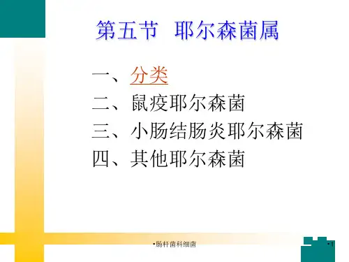 肠杆菌科细菌课件