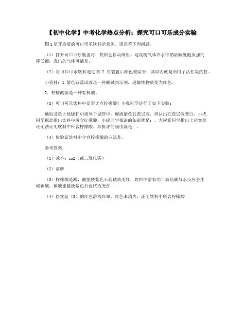 【初中化学】中考化学热点分析：探究可口可乐成分实验
