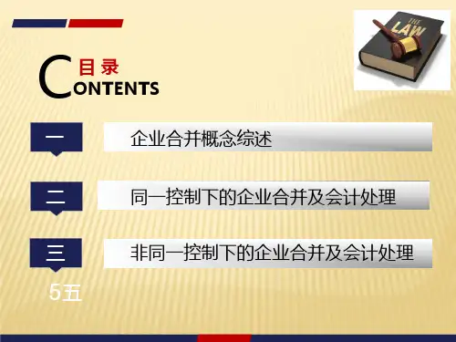 高级财务会计企业合并