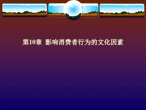 第十章  影响消费者行为的文化  《消费者行为学》PPT课件