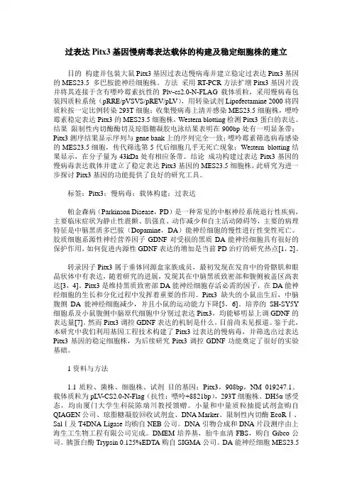 过表达Pitx3基因慢病毒表达载体的构建及稳定细胞株的建立