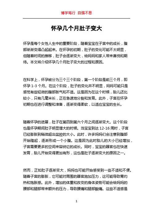 怀孕几个月肚子变大