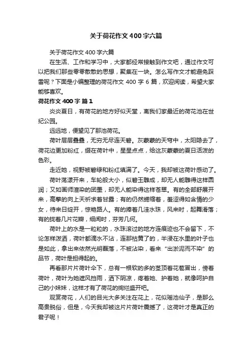 关于荷花作文400字六篇