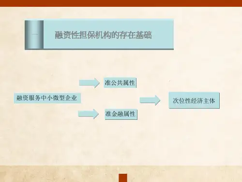 融资性担保行业发展与运营模式探索