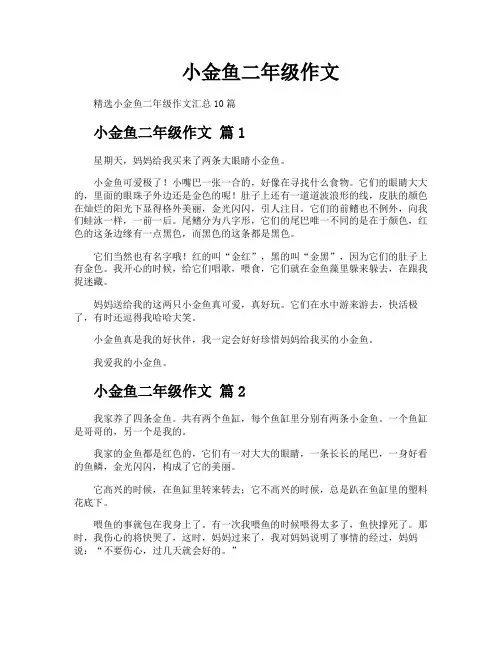 小金鱼二年级作文